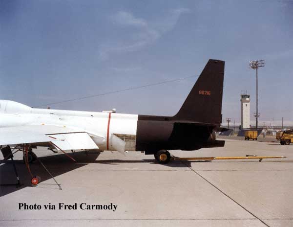 black tail on white 6716